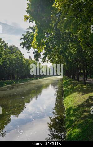 A green long river in a share of which tall green trees are planted on both sides, reflecting in the river, with the setting sun on the horizon. High Stock Photo