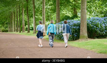 A group of walkers at the old chateau, Flers, in North West France, Europe. Stock Photo