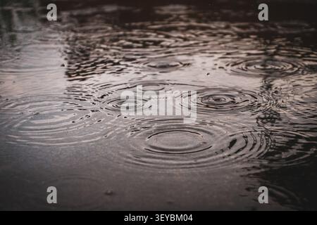 Close-up of raindrops creating circular ripples on a calm water surface, forming a natural abstract background for rainfall, weather, reflection, and tranquility. Stock Photo