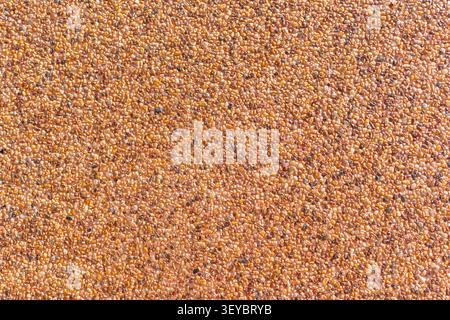 Exposed aggregate concrete surface with small natural pebbles creating a seamless rough texture ideal for architectural backgrounds flooring pavement Stock Photo