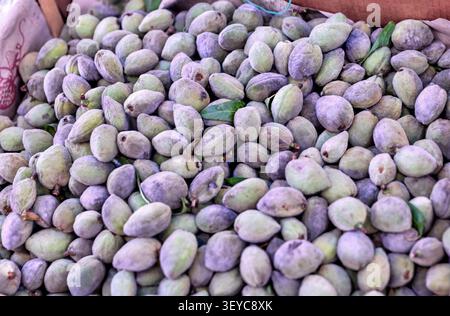 Fresh figs for sale at Ballarò Market in Palermo, Sicily, Italy. Stock Photo