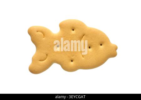 Fish biscuits isolated on a white background. One fish-shaped cracker. Stock Photo