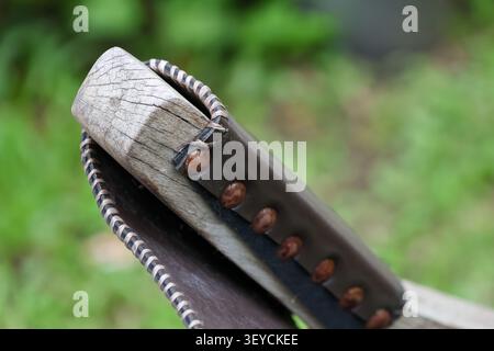 A close up of rustic wooden handle with leather wrapping and metal rivets, showing texture and craftsmanship in outdoor setting Stock Photo