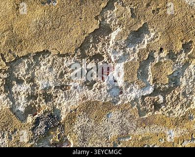 Weathered plaster texture background in grazing light. Stock Photo