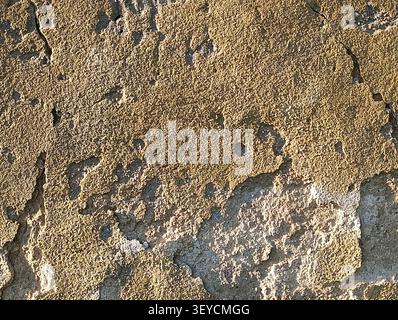 Weathered plaster texture background in grazing light. Stock Photo