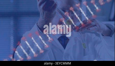 Senior scientist pipetting to vial, adjusting tip and dispensing for genetics, DNA helix overlaying Stock Photo