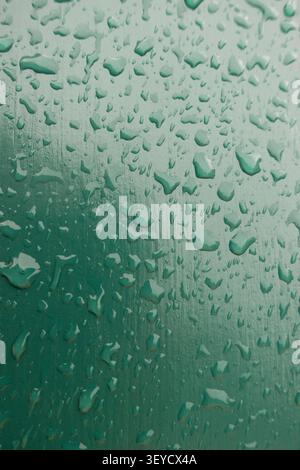 macro view of droplets of rain on a green surface Stock Photo