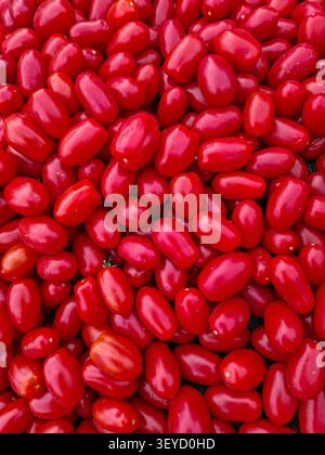 A large collection of fresh, ripe cherry tomatoes shines brightly under the sun, showcasing their smooth and shiny skin. These tomatoes are ready for Stock Photo