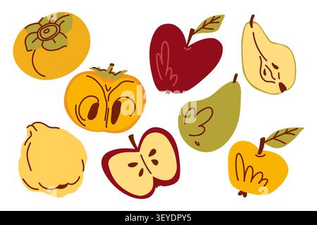 Hand Drawn Autumn Fruit Collection with Apple, Pear, Persimmon and Quince, Fresh Botanical Food Illustration in Flat Style Stock Vector