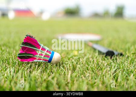Active outdoor sports and summer leisure. Badminton rackets and bright pink shuttlecocks lying on green grass. Stock Photo