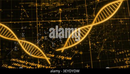 Golden DNA helices shifting and rotating on diagnostic start, forming HUD graph nodes for analysis Stock Photo