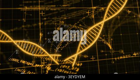 Golden DNA helices shifting and rotating on diagnostic start, forming HUD graph nodes for analysis Stock Photo