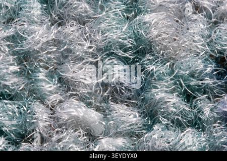 Macro texture of tangled synthetic fibers in blue and white. Abstract background pattern of woven plastic filaments. Stock Photo