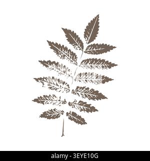 Rowan leaf print vector illustration with realistic ink stamp texture isolated on a white background, brown neutral earthy tone botanical element for boho wedding invitations, autumn stationery, and m. Vector illustration Stock Vector