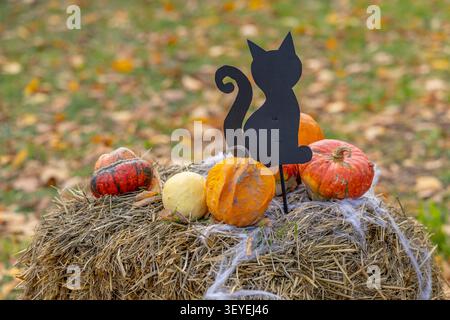 Halloween decoration featuring a black cat silhouette, various pumpkins, and spiderwebs on a hay bale Stock Photo