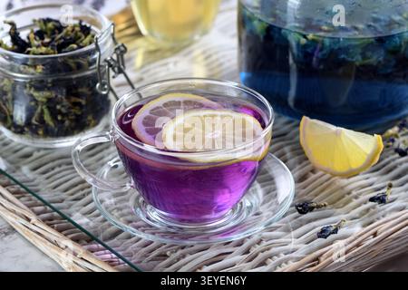 A clear glass cup of hot butterfly pea tea that turned vibrant purple after adding lemon slices, served with a glass teapot and dried flowers in a jar Stock Photo