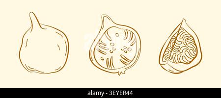 Hand-drawn fig fruits in line art doodle style for grocery shop, farmers market, summer packaging, cooking ingredient, event decor Stock Vector