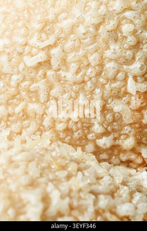 Soft beige foam texture with dense bubbles and porous surface in warm natural light Stock Photo