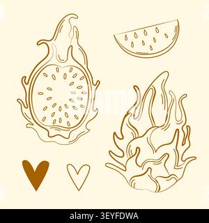 Hand-drawn tropical dragon fruit in line art style for grocery shop, farmers market, summer packaging, ingredients, event decor Stock Vector