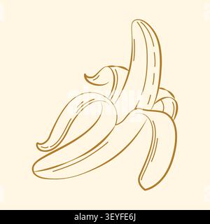 Hand-drawn peeled banana fruit in line art style for grocery shop, farmers market, summer packaging, ingredients, event decor Stock Vector