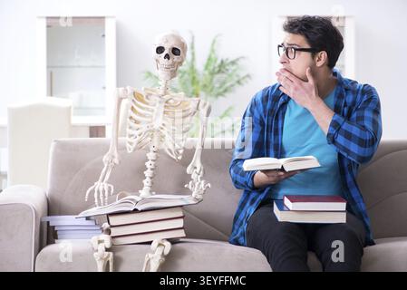 Student studying with skeleton preparing for exams Stock Photo