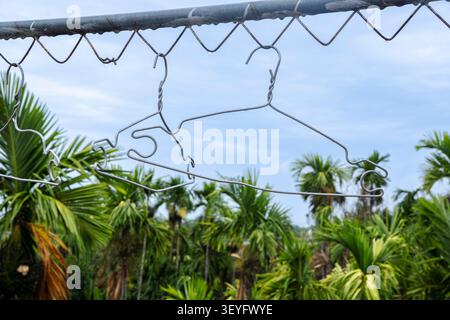 Wire clothes hangers hanging on a rod with palm trees blurred in the background Stock Photo