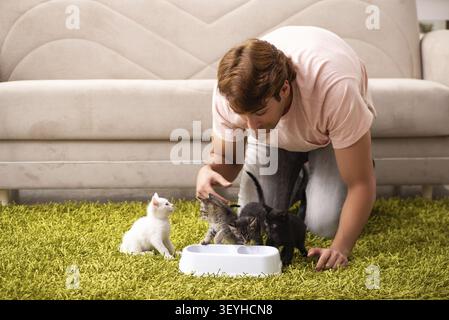 Young man playing with kitten at home Stock Photo