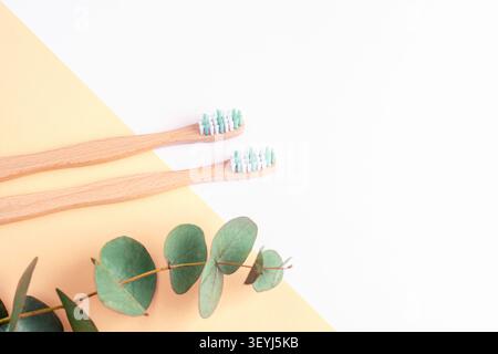 Bamboo toothbrushes with eucalyptus branches on white and beige background. Eco friendly oral care composition with natural botanical elements and cop Stock Photo