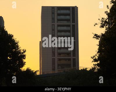 Modern building rising above dark trees against a vibrant golden hour sky in an urban setting Stock Photo