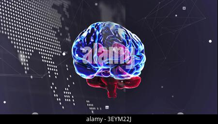 Rotating translucent 3D brain showing blue-magenta-red regions in virtual data studio, code map net Stock Photo
