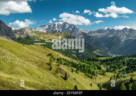 Flock of Sheep Grazing on Mountain Slope, Sella Pass, Dolomites, Italy Stock Photo