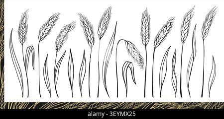 Wheat ear line set. Cereal grain spikelet and stalk symbols for bakery, bread, beer logo and organic packaging label. Agriculture harvest farm design elements. Vector icon illustration Stock Vector