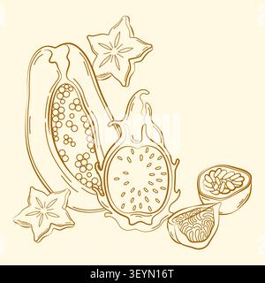 Hand-drawn tropical exotic summer fruits composition, papaya, passion fruit, fig, carambola, dragon fruit line art for packaging Stock Vector