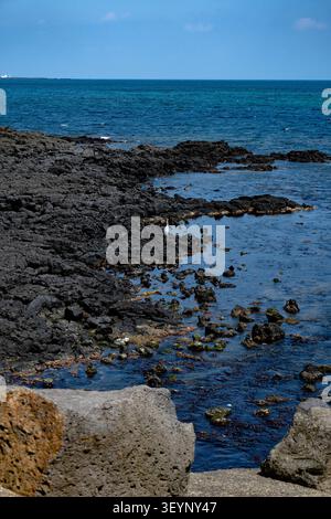 Rocky bay landscape on an ocean at a beach in Jeju with a seagull resting by the sea Stock Photo
