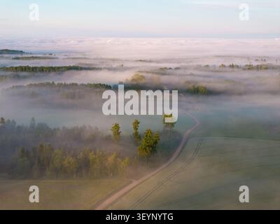 Winding rural road leading through morning fog at sunrise in Sigulda Municipality, Latvia Stock Photo