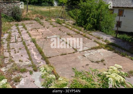 Sallent de Gallego, Spain. High angle view of an old abandoned tennis court with cracked concrete surface overtaken by weeds and green vegetation next Stock Photo