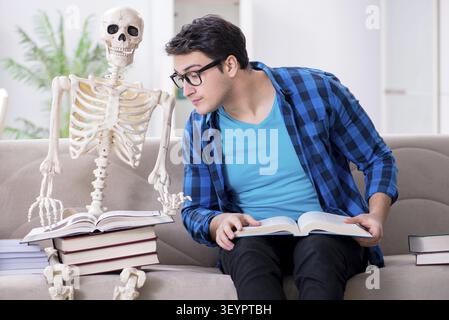 Student studying with skeleton preparing for exams Stock Photo