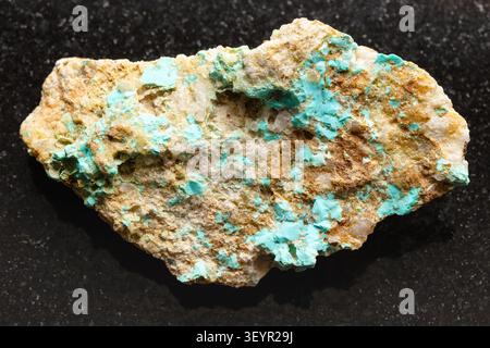 specimen of mineral from geological collection - armenian raw turquoise on rock close-up on black granite background from Alaverdi, Armenia Stock Photo