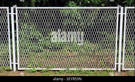 A detailed centered shot captures a white painted expanded steel lattice fence panel standing over green grass with dense tree leaves blurred in the b Stock Photo