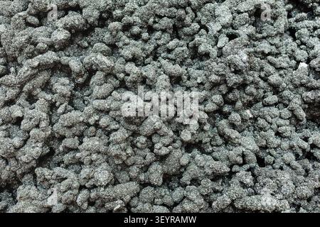 background from natural mineral - surface of chlorite quartz rock, quartz aggregates covered with fine-grained mass of chlorite close-up from Mount Su Stock Photo