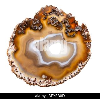 specimen of mineral from geological collection - polished agate slice with geode isolated on white background from Brazil Stock Photo