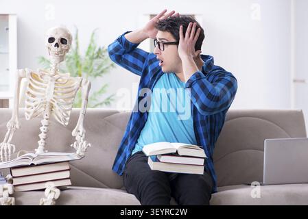 Student studying with skeleton preparing for exams Stock Photo
