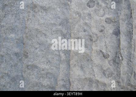 Gray weathered concrete wall texture with a natural stone pattern and rough surface. Neutral abstract background featuring aged cement, subtle details Stock Photo