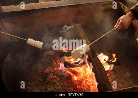 Hands roasting marshmallows on wooden skewers over a glowing campfire. Cozy outdoor cooking scene with open flames, embers, and warm light, evoking ca Stock Photo