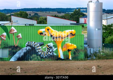 Dijon France July 2 2026. Vibrant graffiti art featuring giant mushrooms, huge ants and butterflies is painted on a low factory corrugated metal profi Stock Photo
