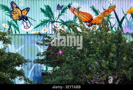 Dijon France July 2 2026. Vibrant graffiti art featuring giant mushrooms, huge ants and butterflies is painted on a low factory corrugated metal profi Stock Photo