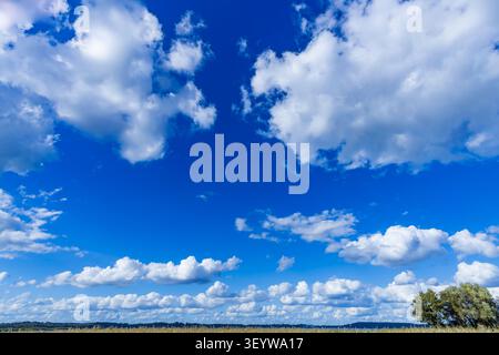 Summer cloudscape with cumulus clouds above open farmland near the historic artists' village of Ferch at Lake Schwielowsee, Brandenburg, Germany. Stock Photo