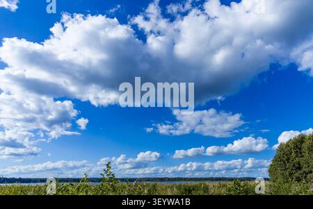 Summer cloudscape with cumulus clouds above open farmland near the historic artists' village of Ferch at Lake Schwielowsee, Brandenburg, Germany. Stock Photo
