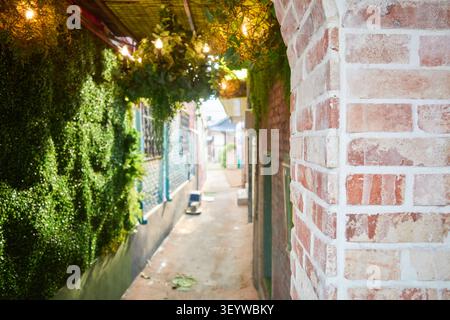 A narrow retro alleyway with a red brick pillar and lush plant wall under warm lights capturing the charm of vintage urban regeneration. Stock Photo