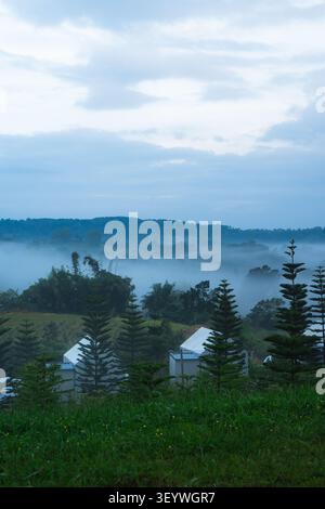 Soft morning mist blankets the landscape. Lush green grass covers the foreground. Tall pine trees stand near a white cabin. Distant hills fade into fo Stock Photo